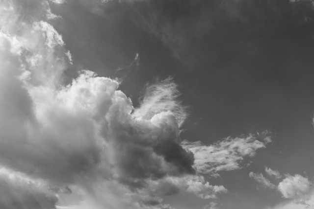 DSC00058.jpg