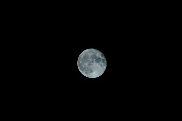 DSC00393.JPG