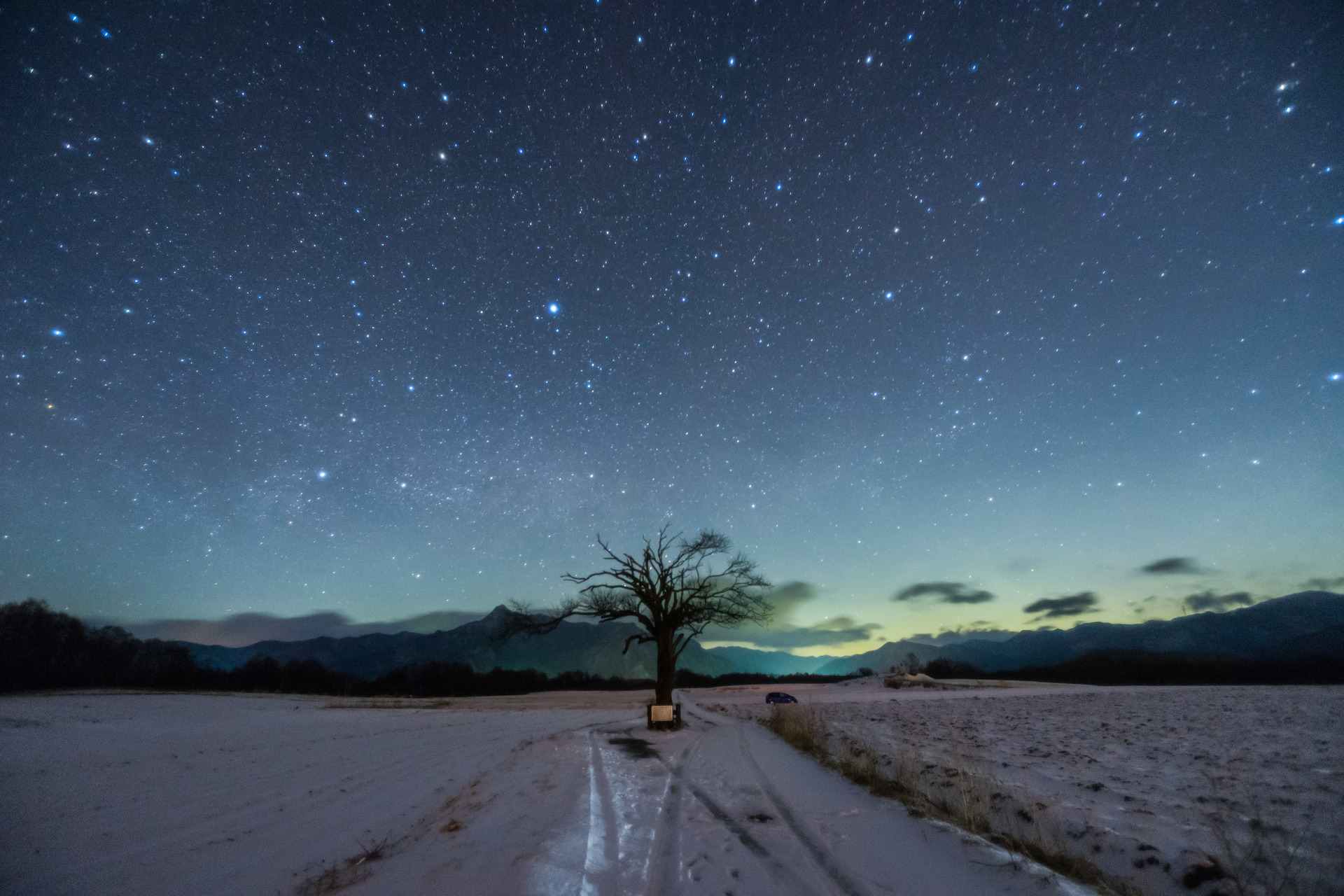 やまなしの木と星空を撮影 極寒の地野辺山高原の星景写真 ブログ