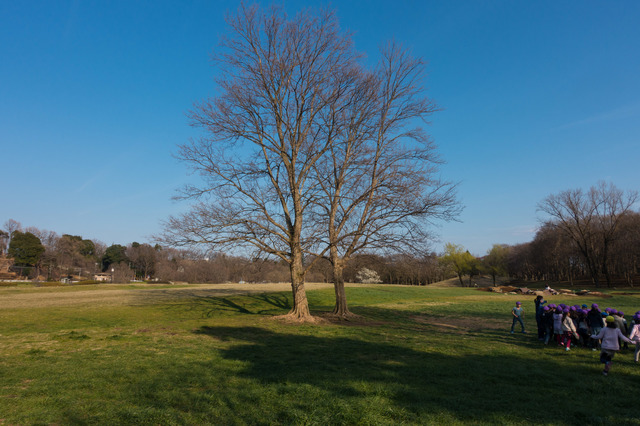 DSC03733.jpg