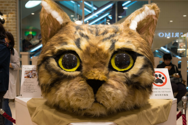 DSC04192.jpg