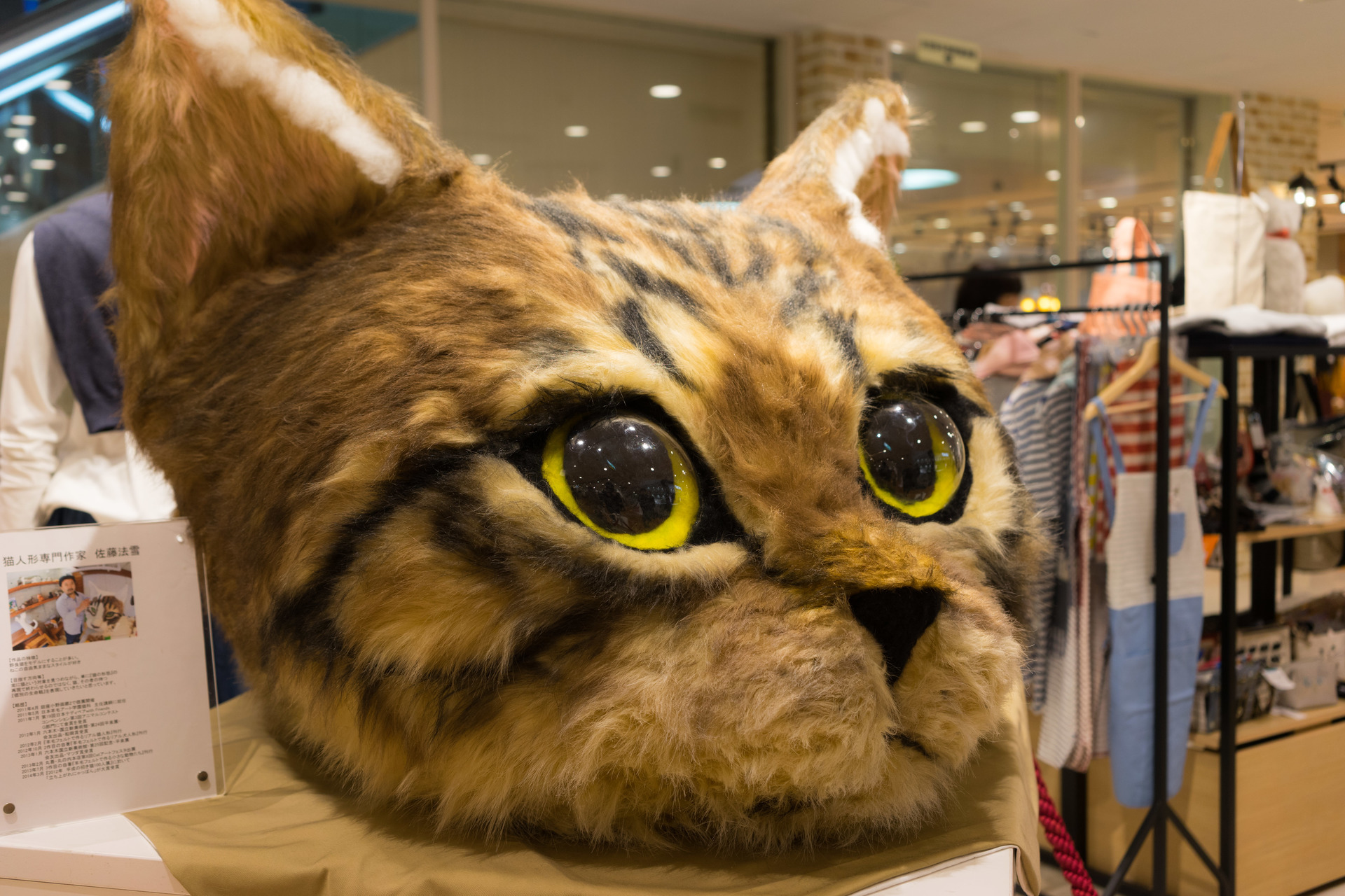 鎌倉ねこサロン丸井吉祥寺店に 巨大リアル猫顔オブジェ が登場 ブログ