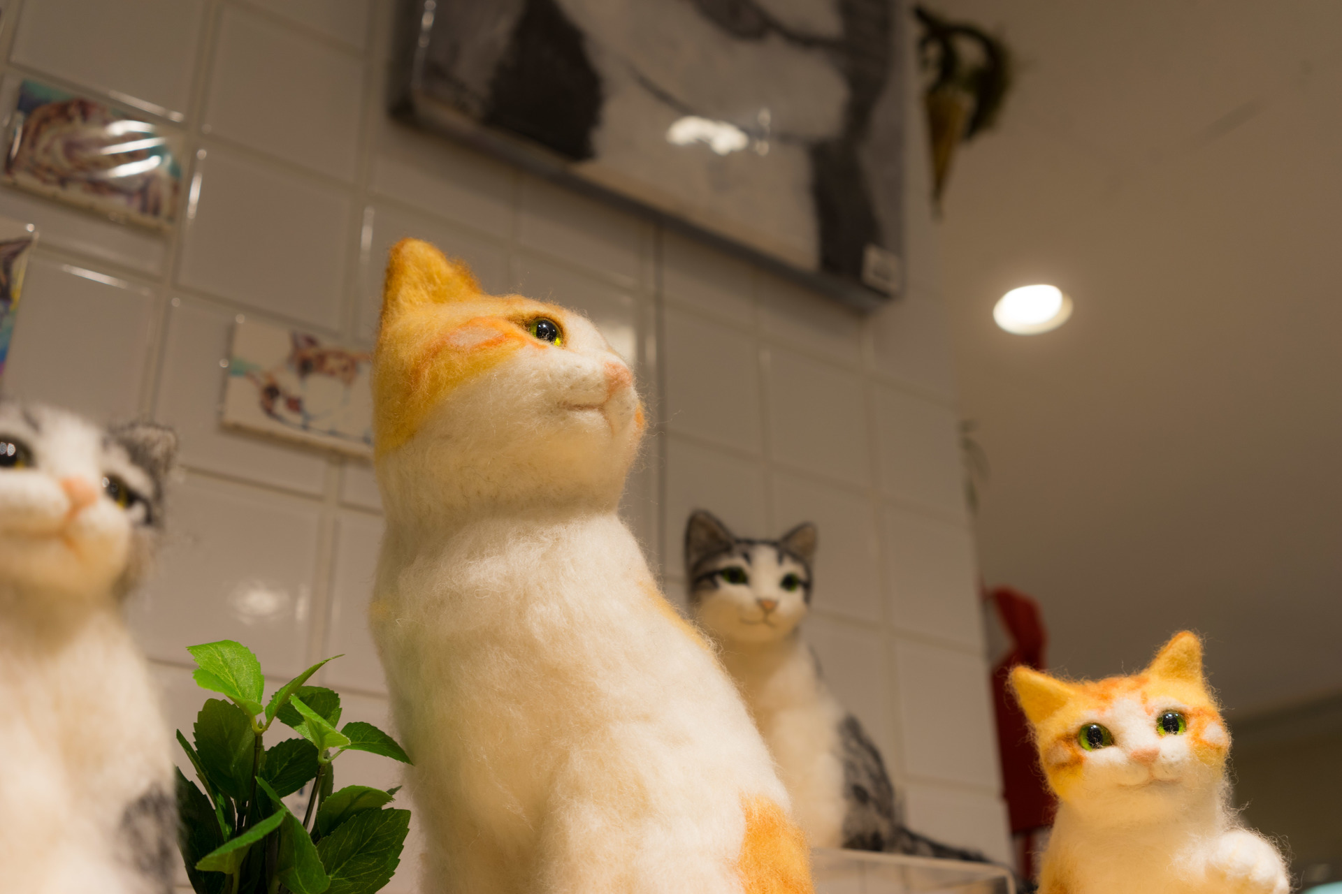 鎌倉ねこサロン丸井吉祥寺店に 巨大リアル猫顔オブジェ が登場 ブログ