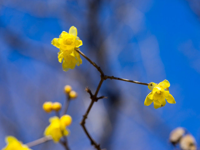DSC04293.jpg