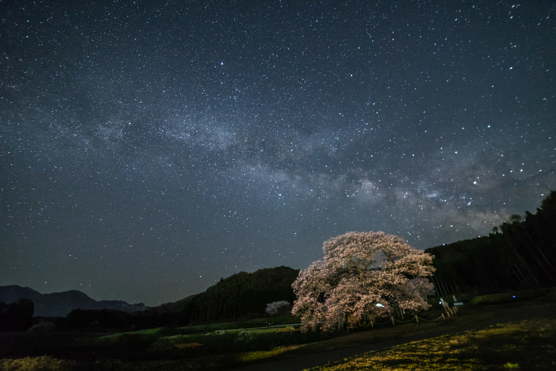 信州高山村 黒部のエドヒガン桜と天の川を徹夜で撮影1 3 ブログ