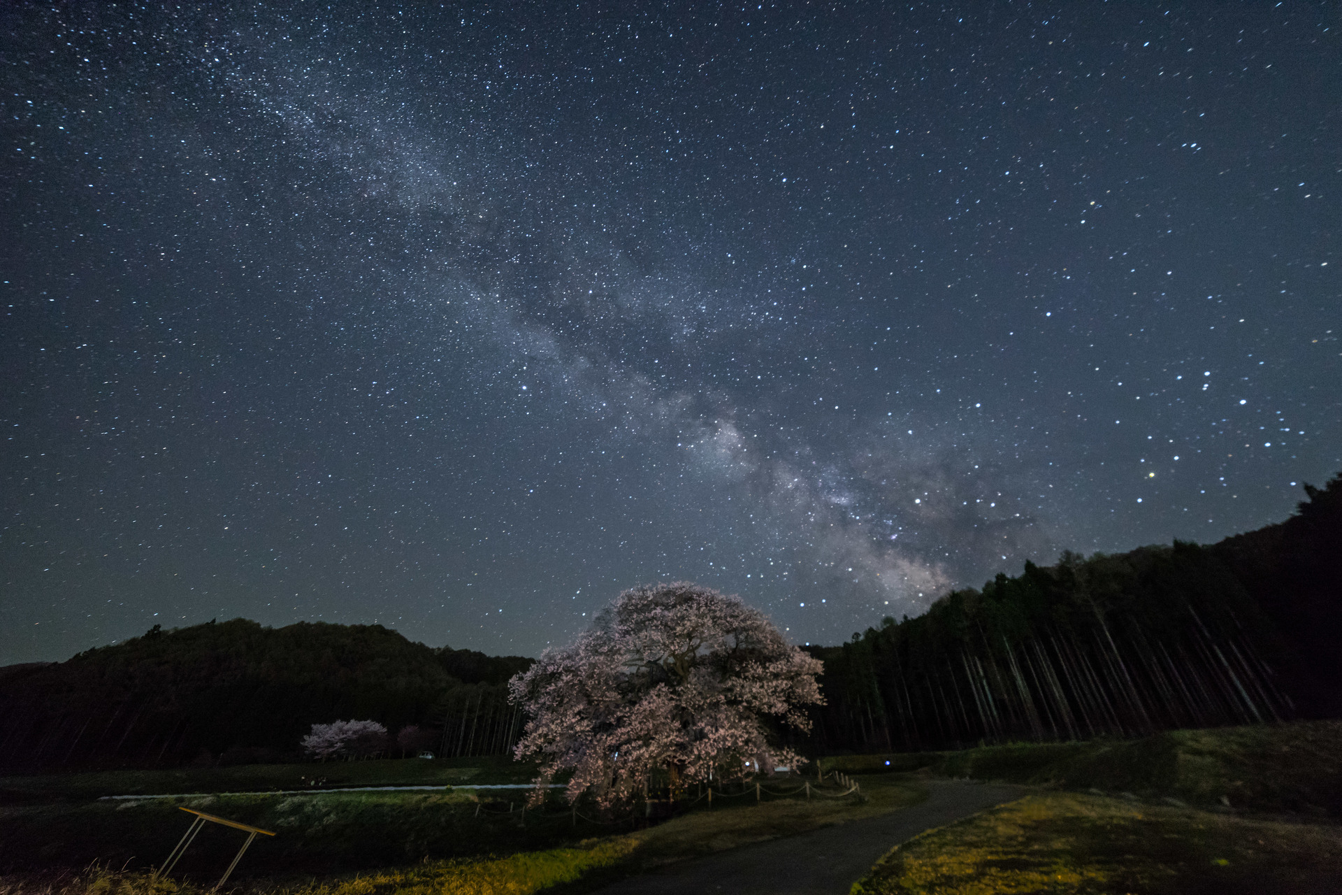 信州高山村 黒部のエドヒガン桜と天の川を徹夜で撮影2 3 ブログ